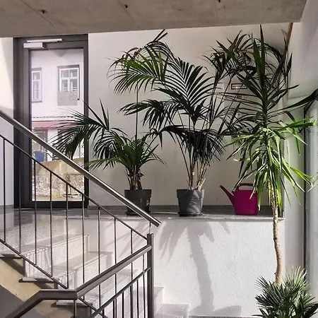 Exklusive Attika Mit 5 Zimmer Nahe Zur Schweiz Klettgau
