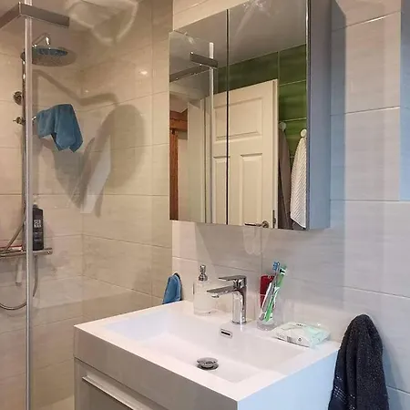 Apartament Exklusive Attika Mit 5 Zimmer Nahe Zur Schweiz Klettgau