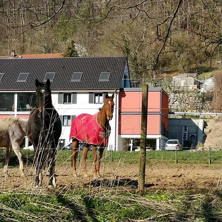 Exklusive Attika Mit 5 Zimmer Nahe Zur Schweiz